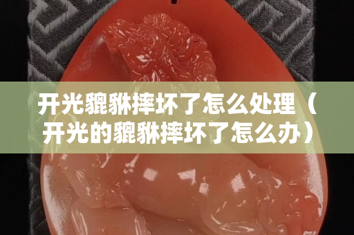 開光貔貅摔壞了怎么處理（開光的貔貅摔壞了怎么辦）
