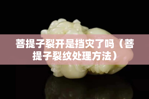 菩提子裂開(kāi)是擋災(zāi)了嗎（菩提子裂紋處理方法）