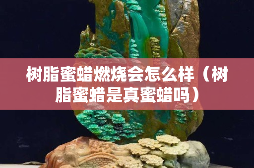 樹脂蜜蠟燃燒會怎么樣（樹脂蜜蠟是真蜜蠟嗎）