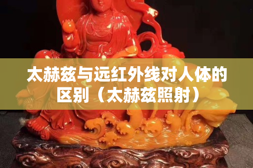 太赫茲與遠紅外線對人體的區別（太赫茲照射）