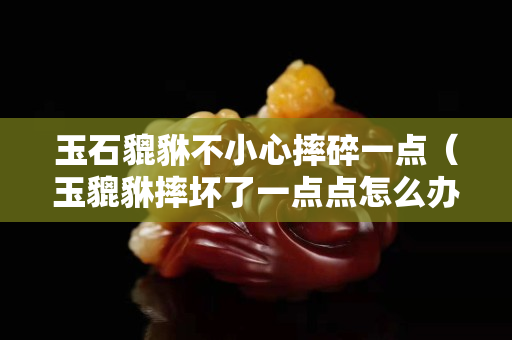 玉石貔貅不小心摔碎一點（玉貔貅摔壞了一點點怎么辦）
