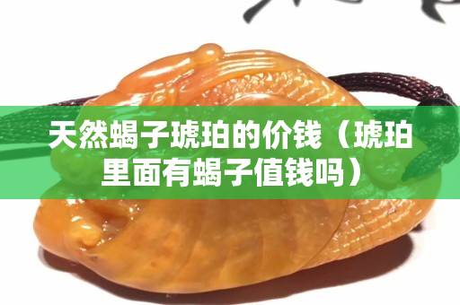 天然蝎子琥珀的價錢（琥珀里面有蝎子值錢嗎）