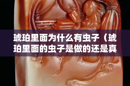 琥珀里面為什么有蟲子（琥珀里面的蟲子是做的還是真的）