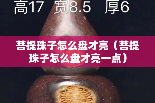 菩提珠子怎么盤才亮（菩提珠子怎么盤才亮一點）