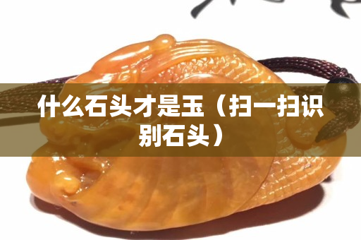什么石頭才是玉（掃一掃識別石頭）