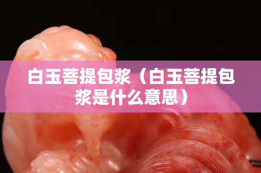 白玉菩提包漿（白玉菩提包漿是什么意思）