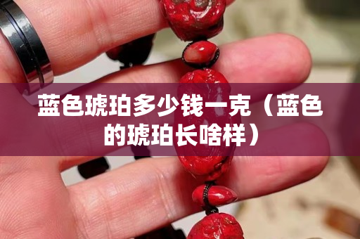 藍色琥珀多少錢一克（藍色的琥珀長啥樣）