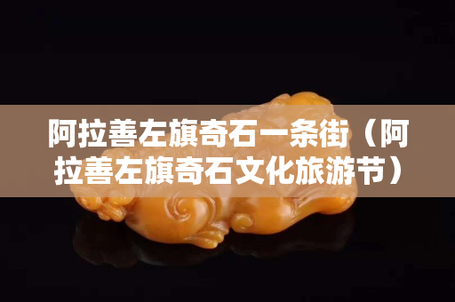 阿拉善左旗奇石一條街（阿拉善左旗奇石文化旅游節）