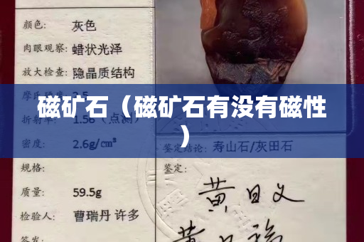 磁礦石（磁礦石有沒有磁性）