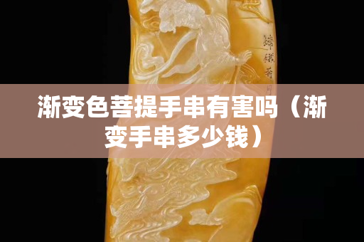 漸變色菩提手串有害嗎（漸變手串多少錢）