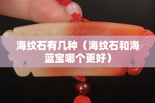 海紋石有幾種（海紋石和海藍寶哪個更好）