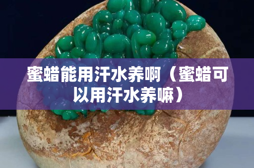 蜜蠟?zāi)苡煤顾B(yǎng)啊（蜜蠟可以用汗水養(yǎng)嘛）