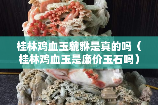 桂林雞血玉貔貅是真的嗎（桂林雞血玉是廉價玉石嗎）