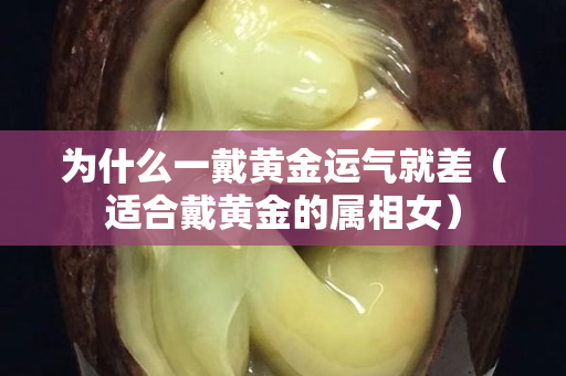 為什么一戴黃金運氣就差（適合戴黃金的屬相女）