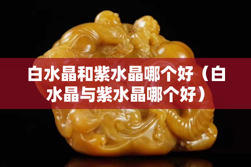 白水晶和紫水晶哪個好（白水晶與紫水晶哪個好）