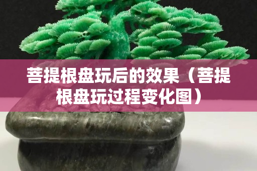 菩提根盤玩后的效果（菩提根盤玩過程變化圖）
