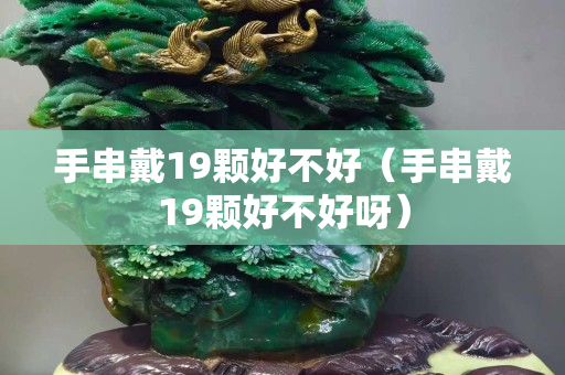 手串戴19顆好不好（手串戴19顆好不好呀）