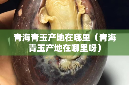 青海青玉產(chǎn)地在哪里（青海青玉產(chǎn)地在哪里呀）