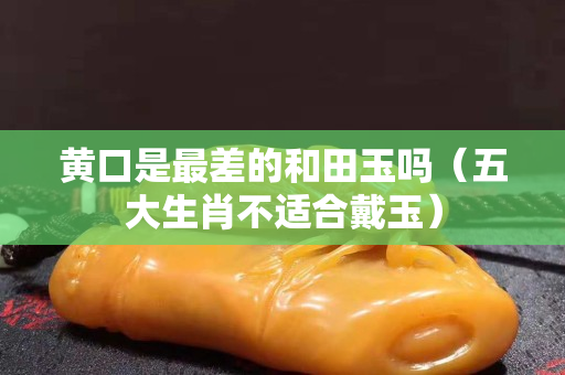 黃口是最差的和田玉嗎（五大生肖不適合戴玉）