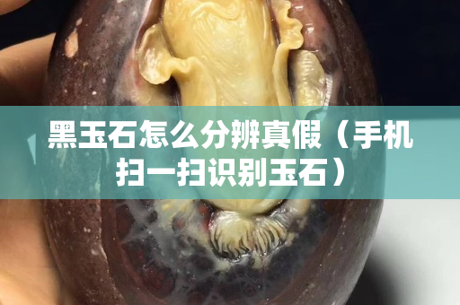 黑玉石怎么分辨真假（手機掃一掃識別玉石）