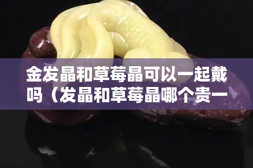 金發晶和草莓晶可以一起戴嗎（發晶和草莓晶哪個貴一點）