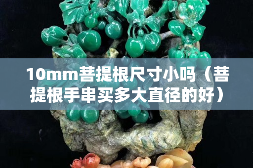 10mm菩提根尺寸小嗎（菩提根手串買多大直徑的好）