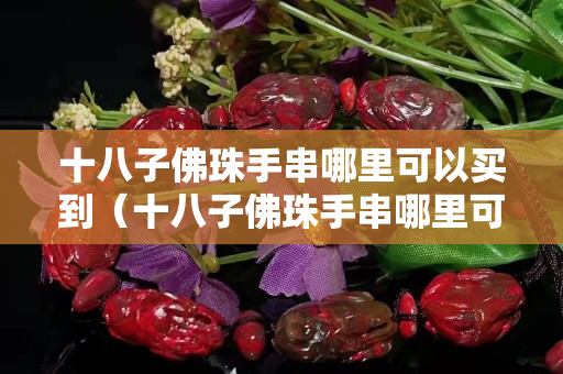 十八子佛珠手串哪里可以買到（十八子佛珠手串哪里可以買到真的）