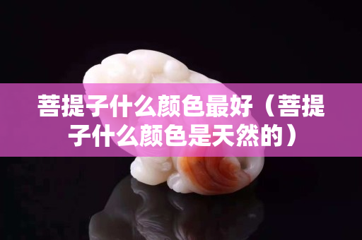 菩提子什么顏色最好（菩提子什么顏色是天然的）