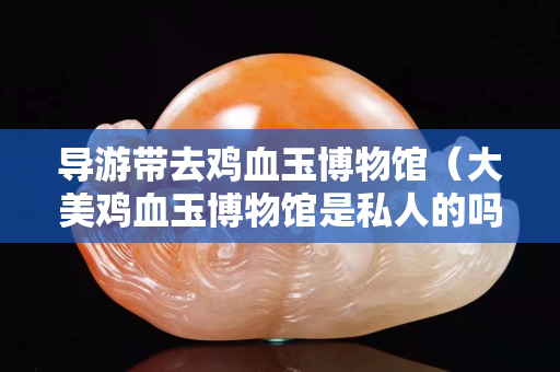 導(dǎo)游帶去雞血玉博物館（大美雞血玉博物館是私人的嗎）