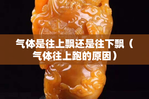 氣體是往上飄還是往下飄（氣體往上跑的原因）