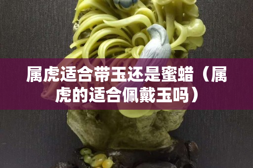 屬虎適合帶玉還是蜜蠟（屬虎的適合佩戴玉嗎）