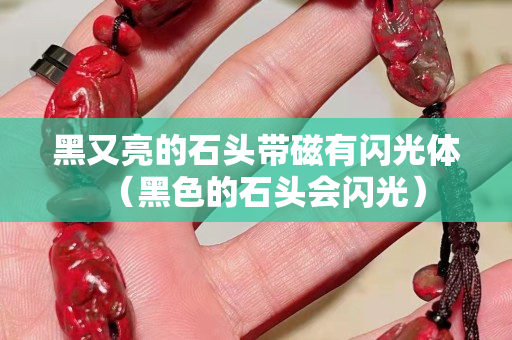 黑又亮的石頭帶磁有閃光體（黑色的石頭會(huì)閃光）