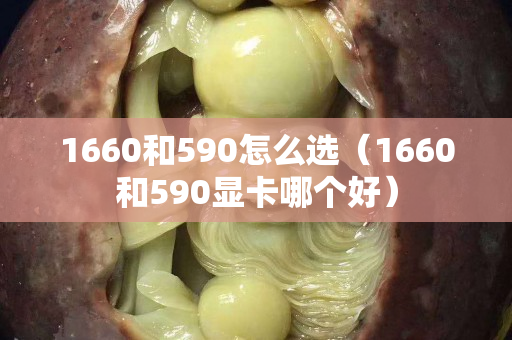 1660和590怎么選（1660和590顯卡哪個好）