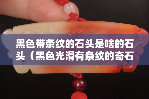 黑色帶條紋的石頭是啥的石頭（黑色光滑有條紋的奇石）