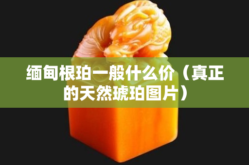 緬甸根珀一般什么價（真正的天然琥珀圖片）