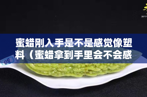 蜜蠟剛入手是不是感覺像塑料（蜜蠟拿到手里會不會感覺很輕）