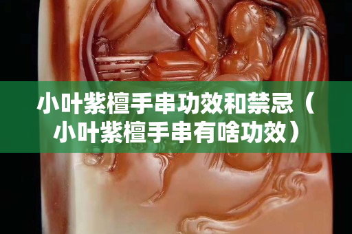 小葉紫檀手串功效和禁忌（小葉紫檀手串有啥功效）