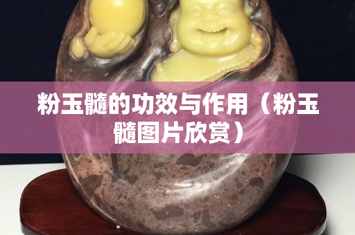 粉玉髓的功效與作用（粉玉髓圖片欣賞）