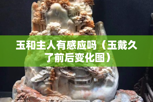 玉和主人有感應嗎（玉戴久了前后變化圖）
