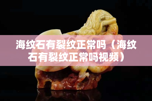 海紋石有裂紋正常嗎（海紋石有裂紋正常嗎視頻）