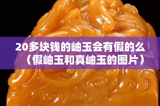 20多塊錢的岫玉會有假的么（假岫玉和真岫玉的圖片）