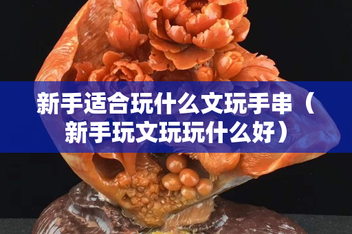 新手適合玩什么文玩手串（新手玩文玩玩什么好）