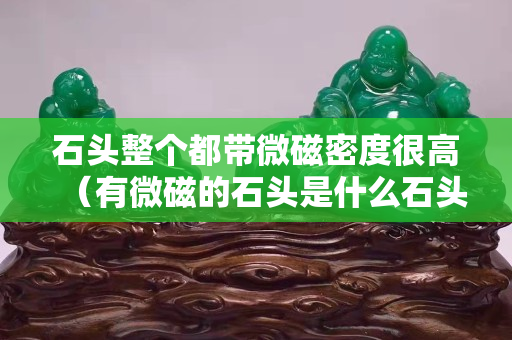 石頭整個都帶微磁密度很高（有微磁的石頭是什么石頭）