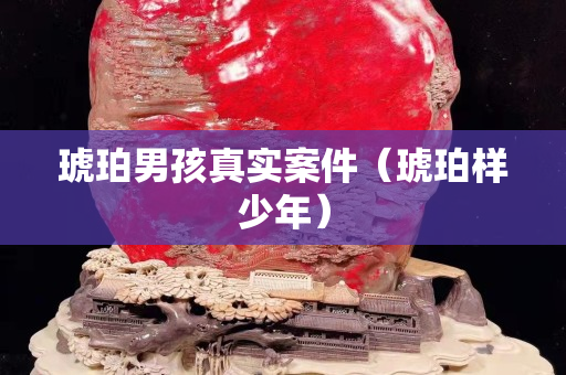 琥珀男孩真實案件（琥珀樣少年）