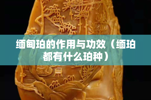 緬甸珀的作用與功效（緬珀都有什么珀種）