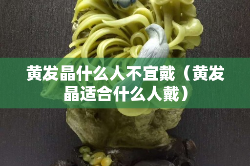 黃發晶什么人不宜戴（黃發晶適合什么人戴）