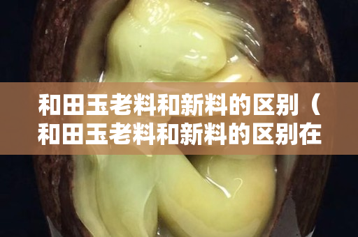 和田玉老料和新料的區別（和田玉老料和新料的區別在哪）