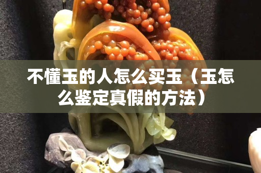不懂玉的人怎么買(mǎi)玉（玉怎么鑒定真假的方法）