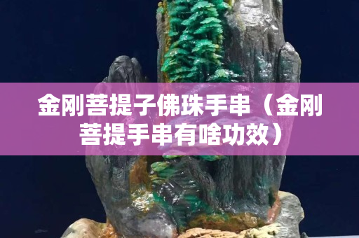 金剛菩提子佛珠手串（金剛菩提手串有啥功效）