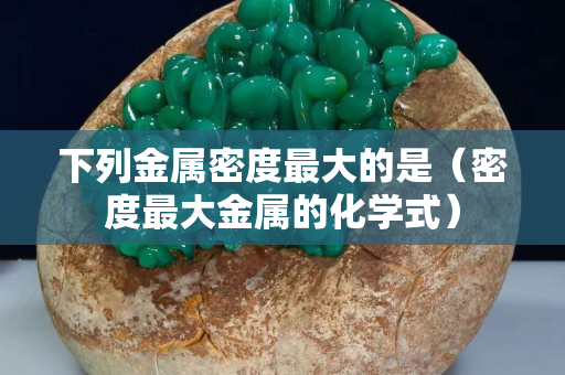 下列金屬密度最大的是（密度最大金屬的化學(xué)式）